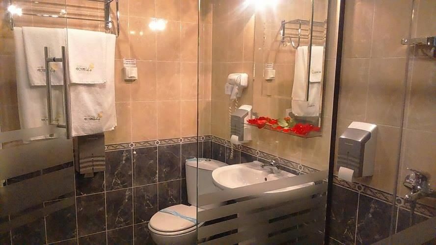 Отель Vitoshko Lale Hotel София