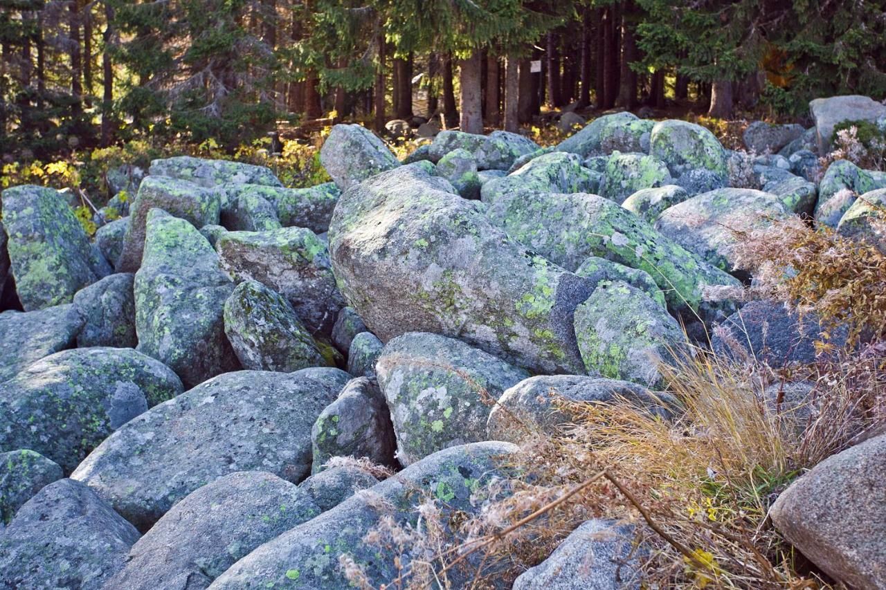 Отель Vitoshko Lale Hotel София-7