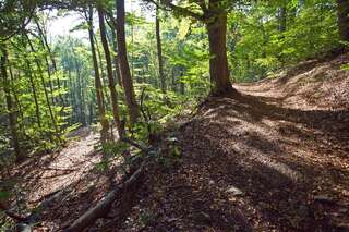 Отель Vitoshko Lale Hotel София-6